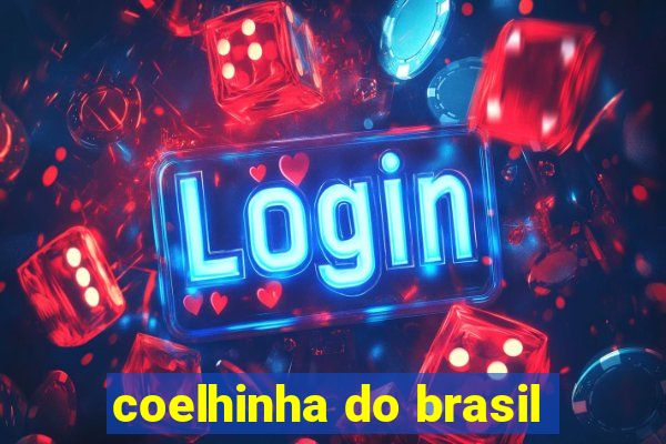 coelhinha do brasil