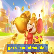 gato em cima do telhado significado espiritual