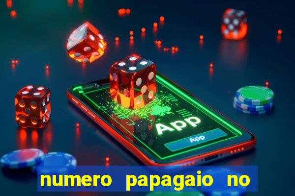 numero papagaio no jogo do bicho