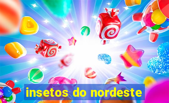 insetos do nordeste