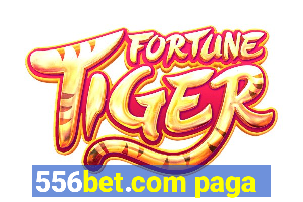 556bet.com paga