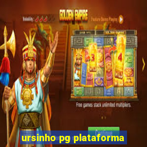 ursinho pg plataforma