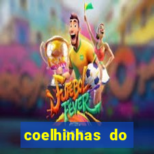 coelhinhas do brasil site